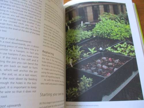 BONSAI success in Southern Africa