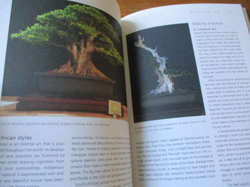 BONSAI success in Southern Africa