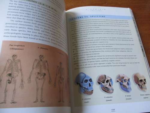 THE OFFICIAL FIELD GUIDE TO THE CRADLE OF HUMANKIND  Brett Hilton-Barber