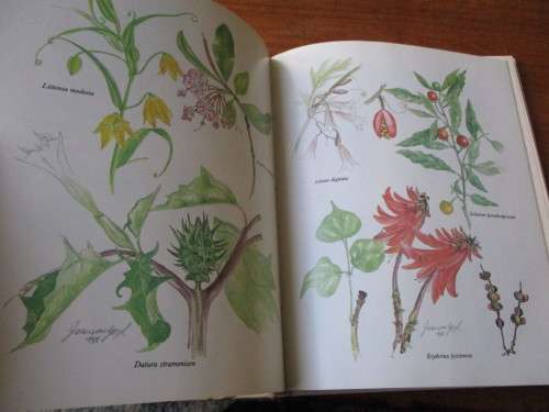 POISONOUS PLANTS IN SOUTH AFRICAN GARDENS AND PARKS  a field guide  Joan Munday