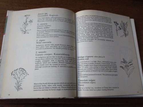 POISONOUS PLANTS IN SOUTH AFRICAN GARDENS AND PARKS  a field guide  Joan Munday