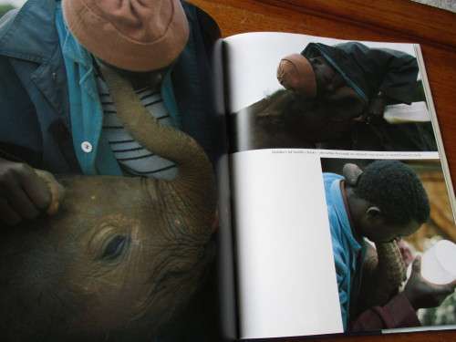 A Cry from the Wild. A Tale of Two Orphans. Lissa Ruben