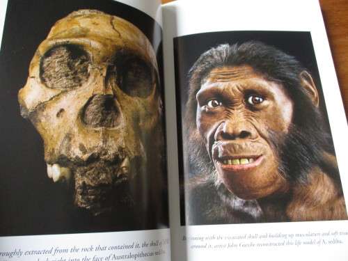 ALMOST HUMAN The Astonishing Tale of Homo naledi  Lee Berger and John Hawks