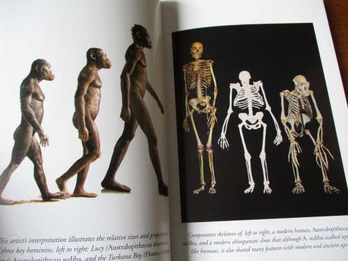 ALMOST HUMAN The Astonishing Tale of Homo naledi  Lee Berger and John Hawks