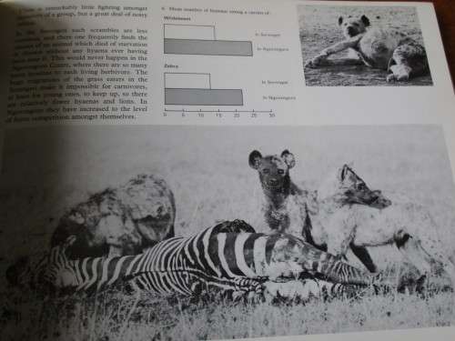 HYAENA. Hans Kruuk