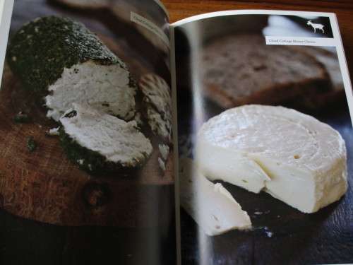 CHEESES OF SOUTH AFRICA. Artisanal Producers and their Cheeses