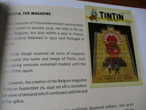 TINTIN. By Michael Farr