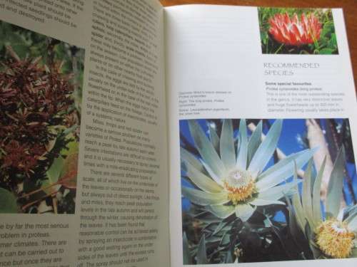 GROW PROTEAS. Kirstenbosch Series