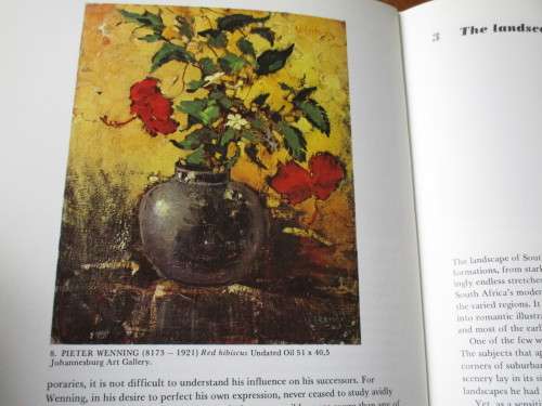 The Story of SOUTH AFRICAN PAINTING. Esme Bierman