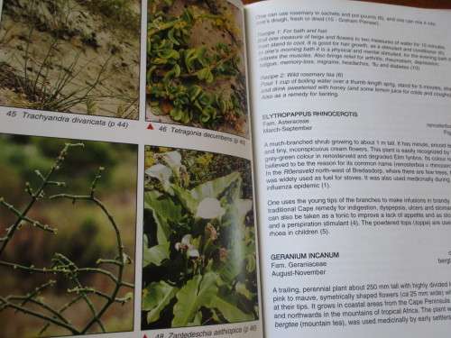 SIGNED. Medicinal and other uses of Southern Overberg Fynbos Plants