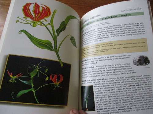 rees & Shrubs and Common Wild Flowers OKAVANGO DELTA - Medicinal Uses & Nutritional Value