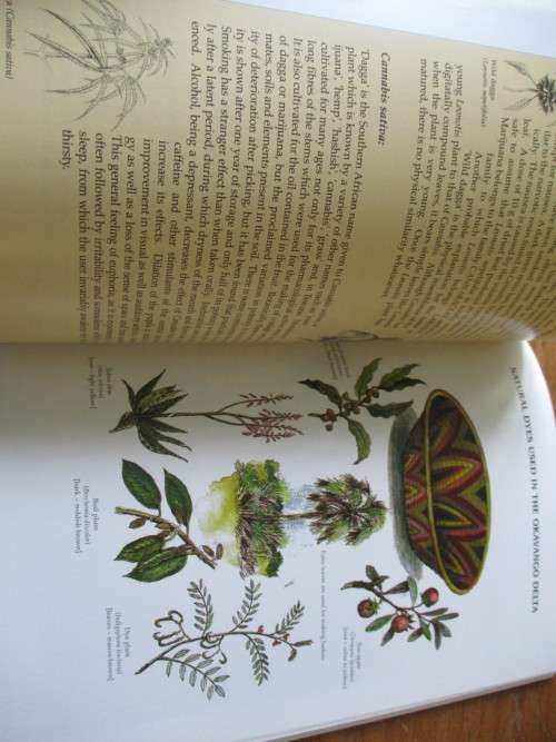 rees & Shrubs and Common Wild Flowers OKAVANGO DELTA - Medicinal Uses & Nutritional Value