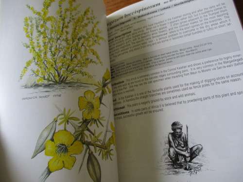 rees & Shrubs and Common Wild Flowers OKAVANGO DELTA - Medicinal Uses & Nutritional Value