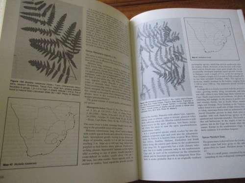 THE FERNS AND FERN ALLIES OF SOUTHERN AFRICA  JACOBSEN
