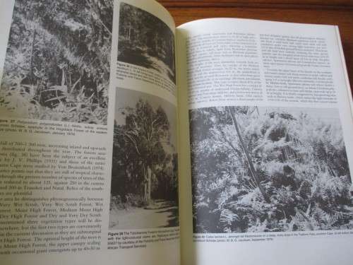 THE FERNS AND FERN ALLIES OF SOUTHERN AFRICA  JACOBSEN