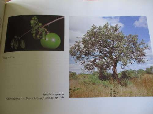 SIGNED COPY. Bome, Struike, Voels - UNISARAND - Trees, Shrubs, Birds