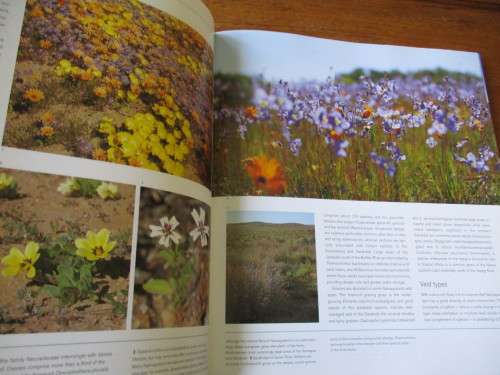 NAMAQUALAND  A Succulent Desert  Richard Cowling & Shirley Pierce