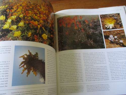 NAMAQUALAND  A Succulent Desert  Richard Cowling & Shirley Pierce