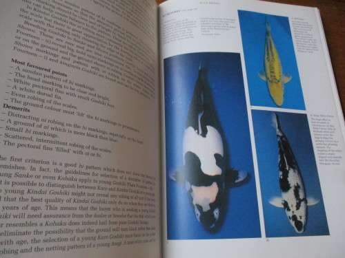 Koi Keeping in South Africa. LIVING JEWELS. Ronnie Watt & Servaas de Kock