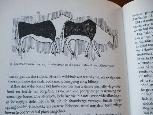 OP DIE STORMBERGE