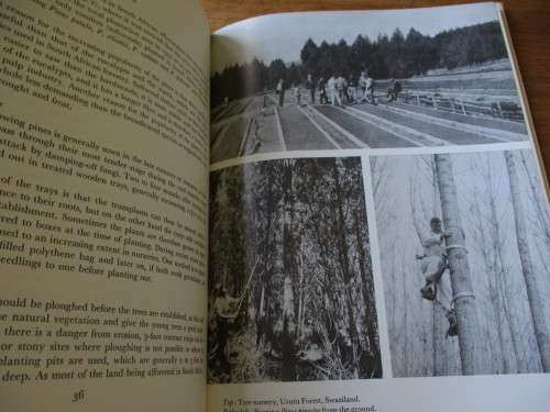 SIGNED COPY. Forestry & Forest Industry in South Africa