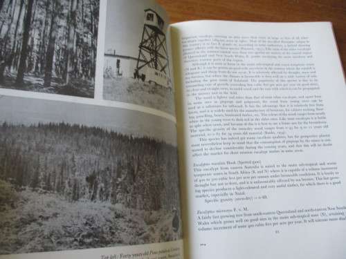 SIGNED COPY. Forestry & Forest Industry in South Africa