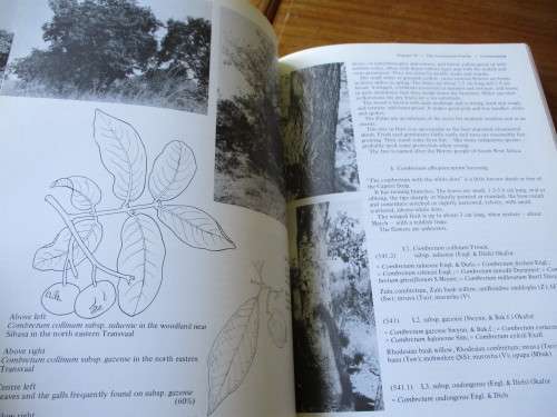 TREES OF SOUTHERN AFRICA Volume 3. Eve Palmer & Norah Pitman