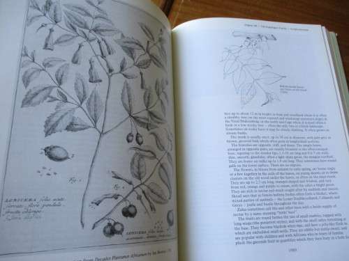 TREES OF SOUTHERN AFRICA Volume 3. Eve Palmer & Norah Pitman