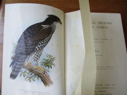 The Natural History of South Africa. BIRDS Vol I. FW Fitzsimons, 1923
