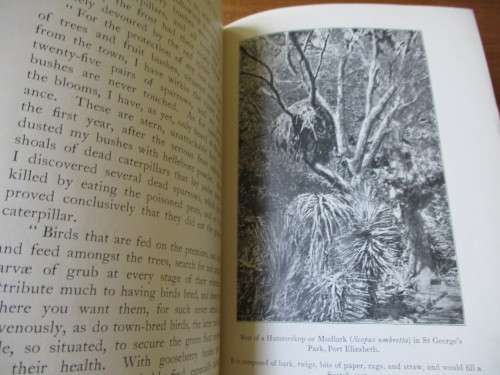 The Natural History of South Africa. BIRDS Vol I. FW Fitzsimons, 1923