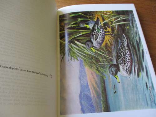 Gamebirds of Southern Africa  P.A. Clancey