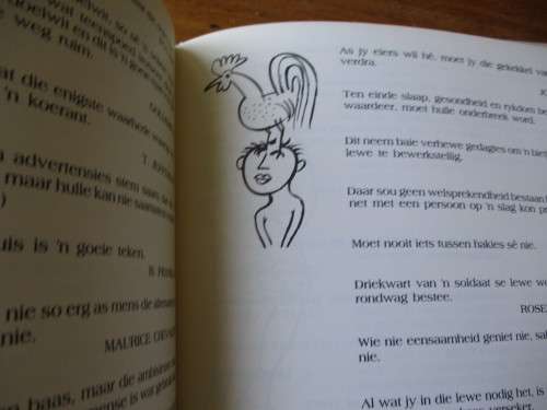 ANDER HET GESê Chris du Toit  Illustrasies deur Walter Battiss