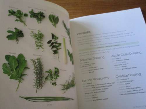LOVE GREEN FOOD cooking and eating with consciousness  Larissa Green