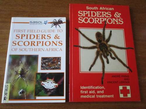 SPIDERS & SCORPIONS OF SOUTHERN AFRICA    South African SPIDERS & SCORPIONS