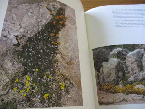 SIGNED. NAMAQUALAND GARDEN OF THE GODS  Freeman Patterson