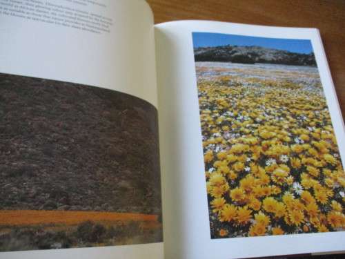 SIGNED. NAMAQUALAND GARDEN OF THE GODS  Freeman Patterson