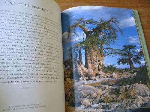 THE REMARKABLE BAOBAB  THOMAS PAKENHAM