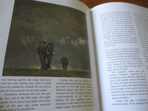 The Trouble With Africa  STORIES FROM A SAFARI CAMP  Vic Guhrs
