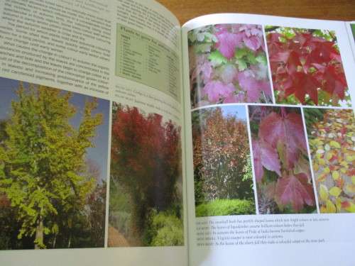 HOW TO DESIGN YOUR GARDEN  UNA VAN DER SPUY
