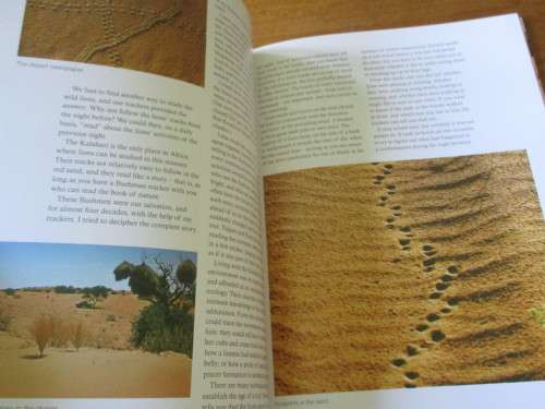 SIGNED. HUNTERS OF THE DUNES  The story of the Kalahari lion  FRITZ ELOFF