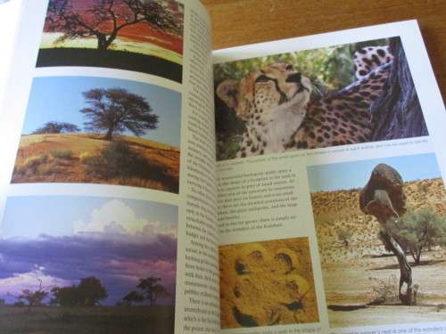 SIGNED. HUNTERS OF THE DUNES  The story of the Kalahari lion  FRITZ ELOFF