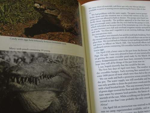 DISCOVERIES OF A CROCODILE MAN  TONY POOLEY