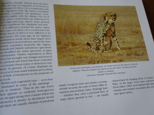 ELEPHANTS OF AFRICA  Paul Bosman  Anthony Hall-Martin