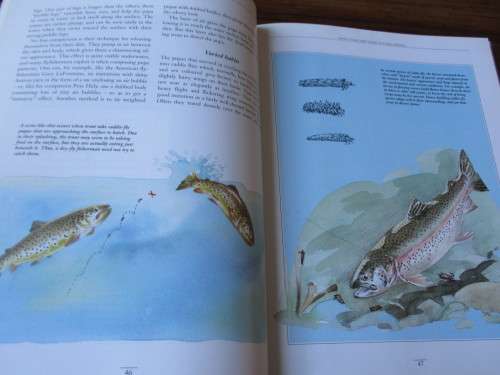 THE COMPLETE BOOK OF TROUT FLYFISHING   Cedeberg, Gustavsson, Johnson, Ulnits