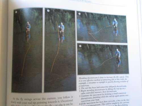 THE COMPLETE BOOK OF TROUT FLYFISHING   Cedeberg, Gustavsson, Johnson, Ulnits