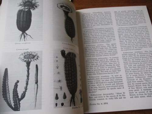 EXCELSA NO.3 & 4  JOURNAL OF THE ALOE, CACTUS AND SUCCULENT SOCIETY OF RHODESIA
