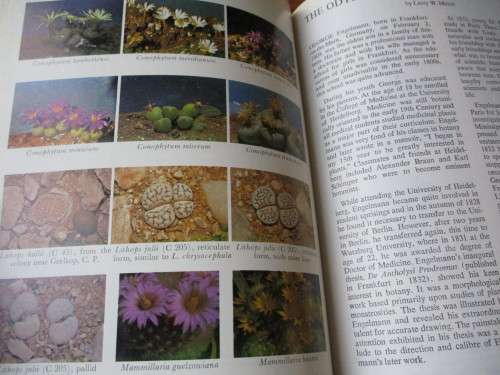 EXCELSA NO.3 & 4  JOURNAL OF THE ALOE, CACTUS AND SUCCULENT SOCIETY OF RHODESIA