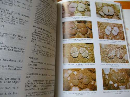 EXCELSA NO.3 & 4  JOURNAL OF THE ALOE, CACTUS AND SUCCULENT SOCIETY OF RHODESIA