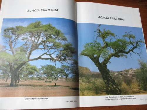 ACACIAS  Tree of the year 1989 Die boom van die jaar