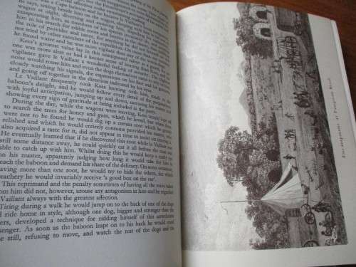 SIGNED. THE TRUTH IN MASQUERADE  The adventures of Francois le Vaillant  Jane Meiring